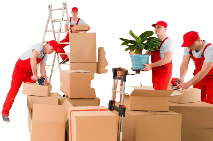 Packing Services