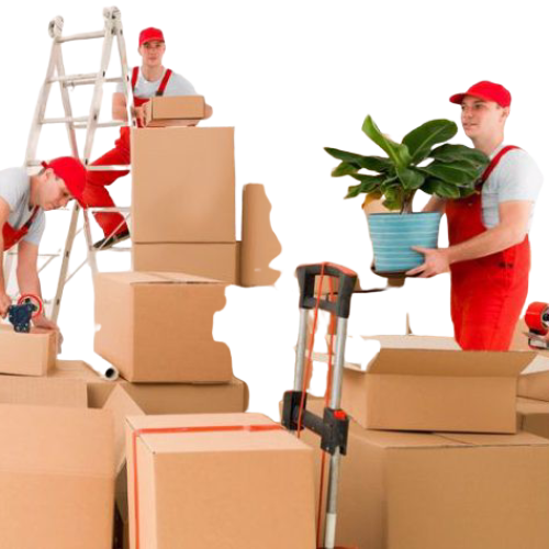 Packing Services